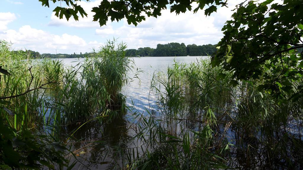 Ferienhaus Natura Нойрупин Стая снимка