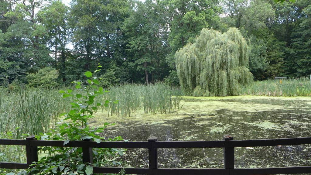 Ferienhaus Natura Нойрупин Стая снимка