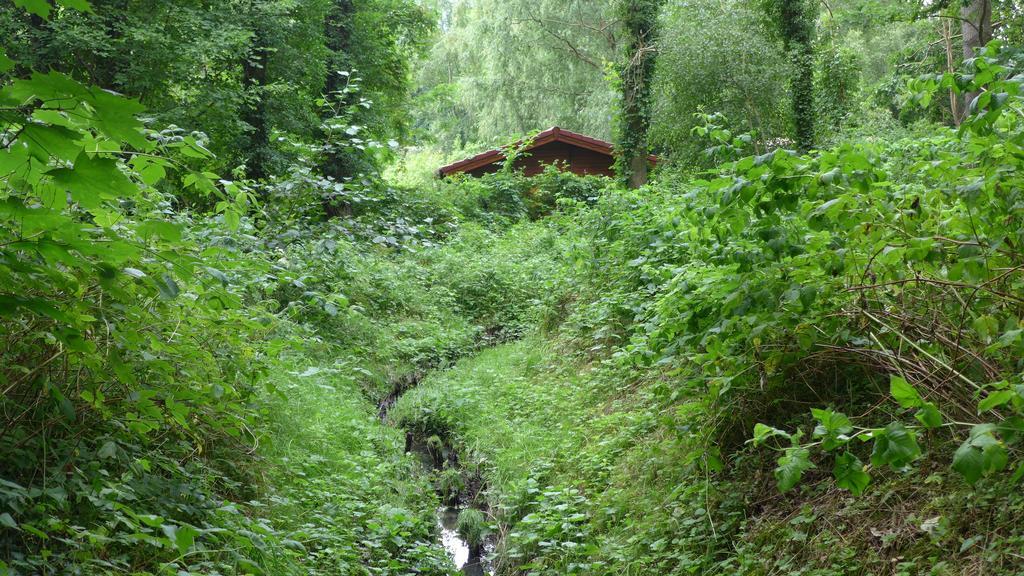 Ferienhaus Natura Нойрупин Стая снимка
